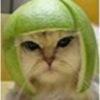 Анна Андреева