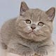 Sergey Sergeevich Kishkin sk195708 Sergey Sergeevich Kishkin sk195708