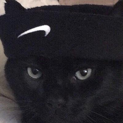 Алексей Шин