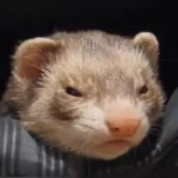 Евгений